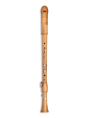 Premium-Qualität - Mollenhauer 2541K Canta Knick-Bass