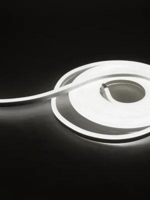 eurolite LED Neon Flex 24V CW | Sonderpreis