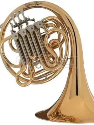 Sonderangebot | Hoyer 801G L in F/B Doppelhorn