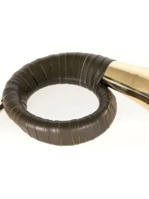 Jetzt kaufen | Roy Benson HH-101 Plesshorn in B KL/KuLe