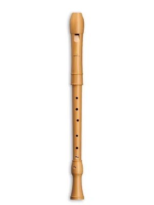 Mollenhauer 2406 Canta Tenor | Heute bestellen