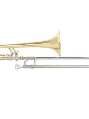 Zertifiziert - Roy Benson TT-236F Tenor in B/F