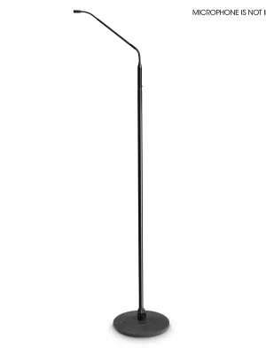 Gravity MS 23 XLR B | Direkt ab Werk