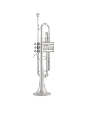 Bach 170S43GYR Apollo Trompete | Nur solange der Vorrat reicht