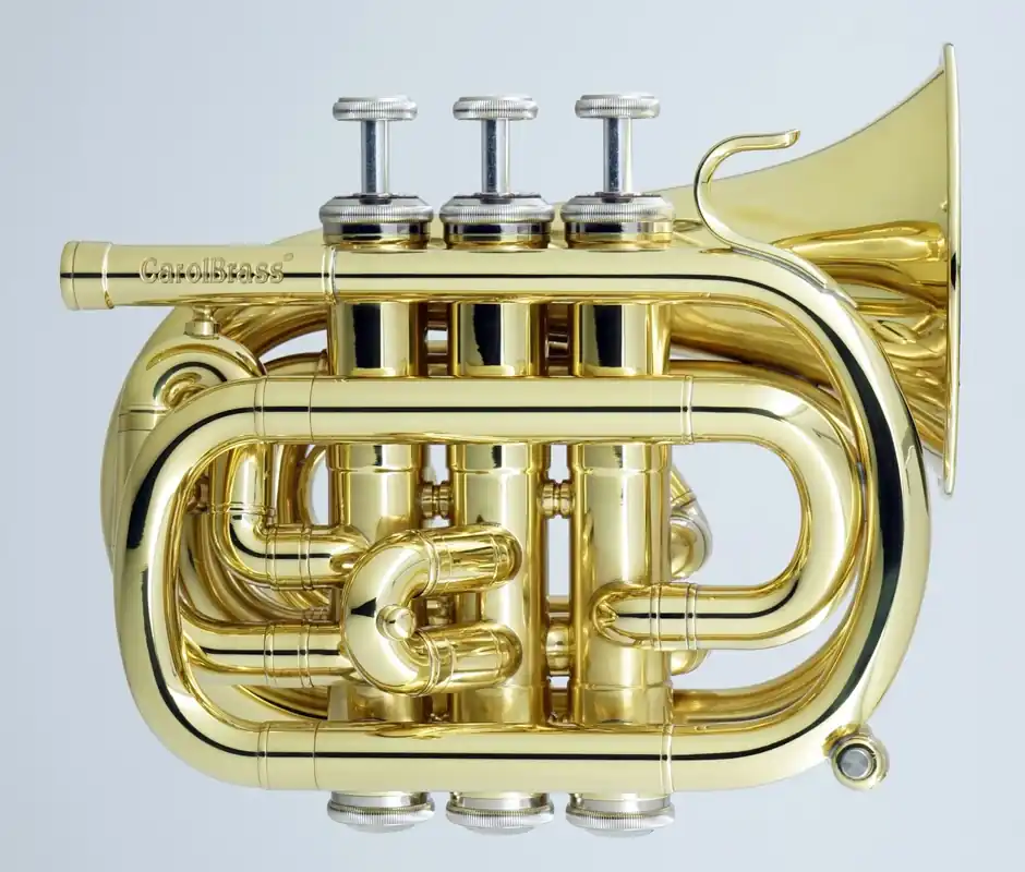 Carol Brass CPT-1000-YSS-Bb-L Pocket - Jetzt neu