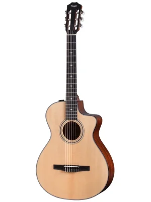 Taylor 312ce-N Nylon - Super-Preis