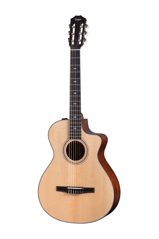 Taylor 312ce-N Nylon - Super-Preis