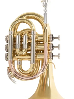 Roy Benson PT-302 Bb-Taschentrompete - Top-Qualität