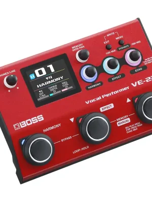 Nicht verpassen - Boss VE-22 Vocal Performer