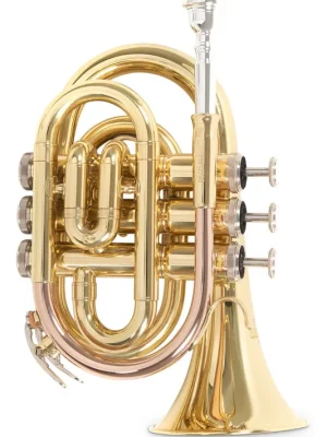 Roy Benson PT-101 in B Taschentrompete | Begrenztes Angebot
