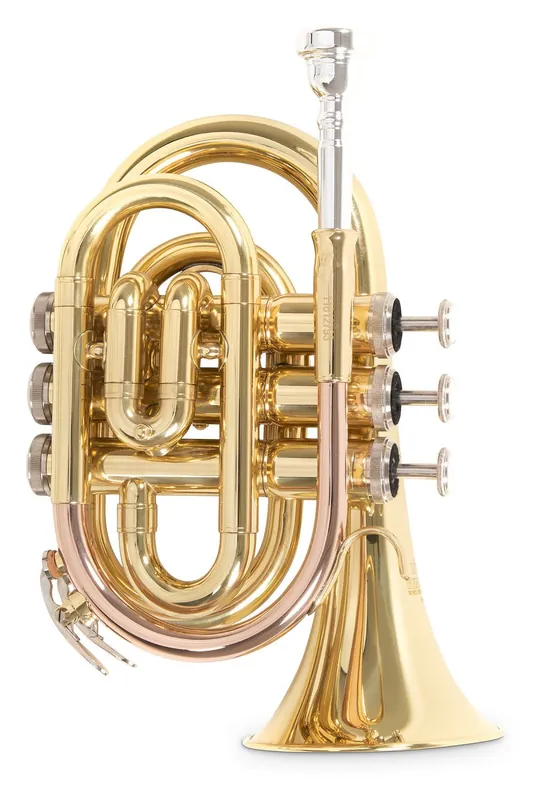 Roy Benson PT-101 in B Taschentrompete | Begrenztes Angebot
