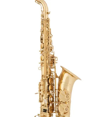 aS Arnolds & Sons AAS-110YG Alt Saxophon - Heute bestellen