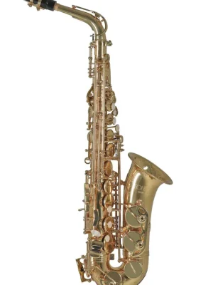 Aktionspreis - Conn Altsaxophon AS650
