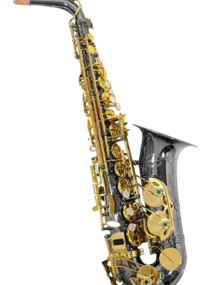 Chateau CAS 50BL Altsaxophon | Zeitlich begrenzt