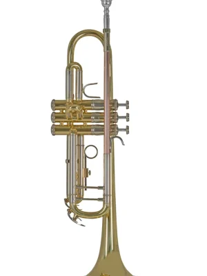 Sofort kaufen - Bach TR-501 Trompete