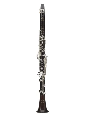 Bestpreis | Buffet Crampon Divine Bb Klarinette 19/6
