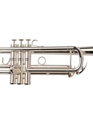 Adams Prologue intermediate in B - Angebot