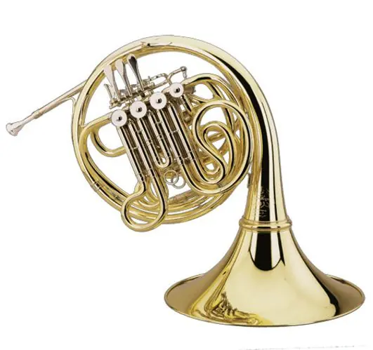 Premium | Hoyer 6801 L in F/B Doppelhorn