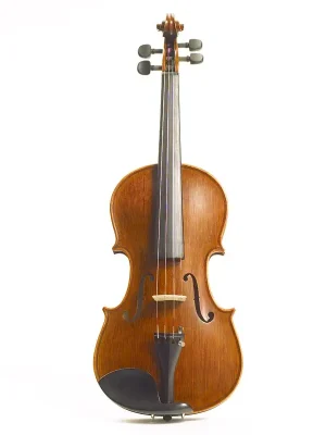 Neu verfügbar | Stentor Violine Elysia SR-1875
