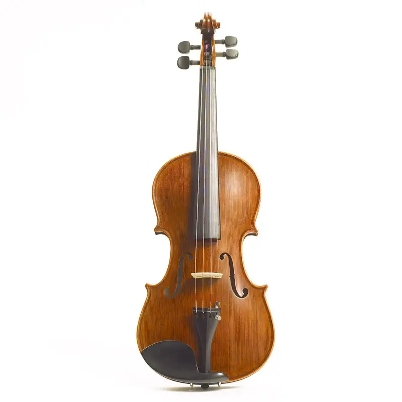 Neu verfügbar | Stentor Violine Elysia SR-1875