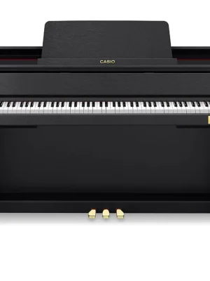 Casio GP-310 BK | Werkspreis