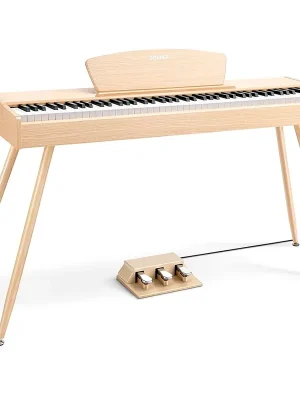 Donner DDP-80 | Sicher bezahlen