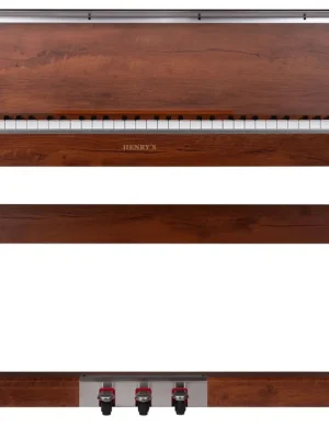 Begrenztes Angebot | Henry‘s Amber DPA100