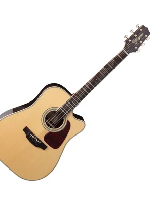 Knallerpreis | GD90CE Dreadnought Ziricote