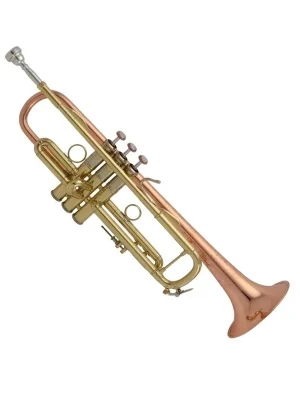 Begrenztes Angebot - LR190-43B B-Trompete