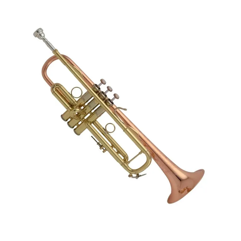 Begrenztes Angebot - LR190-43B B-Trompete