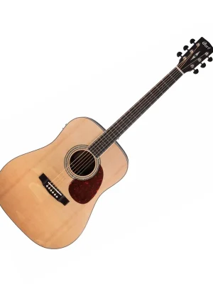 Earth 100FER Dreadnought + PU | Versandbereit