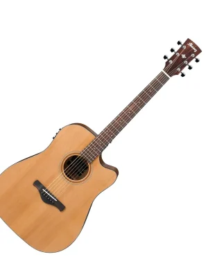 Gleich bestellen | AW65ECE-LG Dreadnought