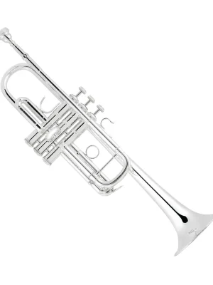 Sicher einkaufen - C190SL229 C-Trompete