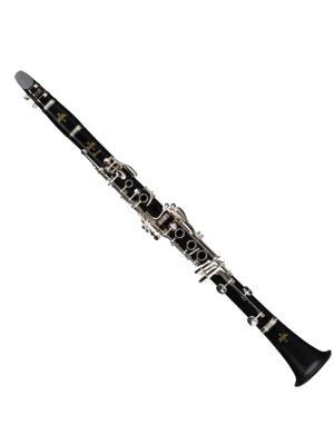 Prodige 17/6 B-Klarinette Böhm - Neu eingetroffen