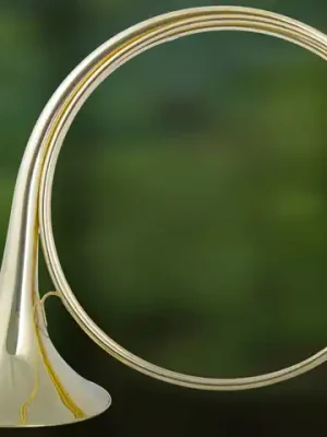 ES3520 Es Parforcehorn | Deal