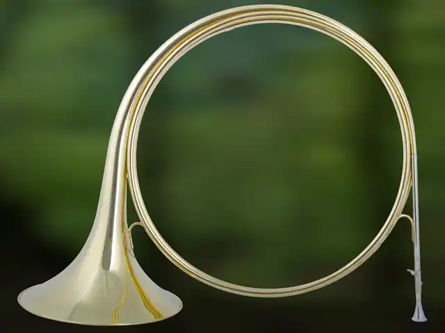 ES3520 Es Parforcehorn | Deal