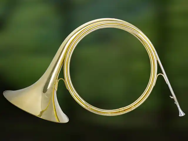 Reduziert | ES5030 Es Parforcehorn