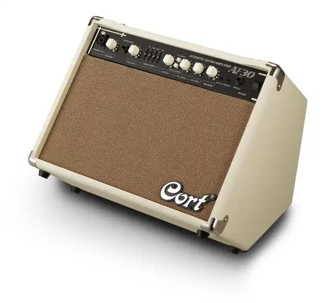 AF30 Akustikgitarren Combo - Profi-Qualität