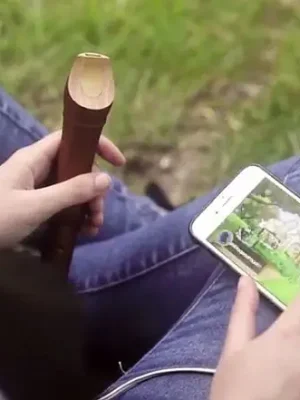 Nur noch wenige | Flute Master App + Blockflöte