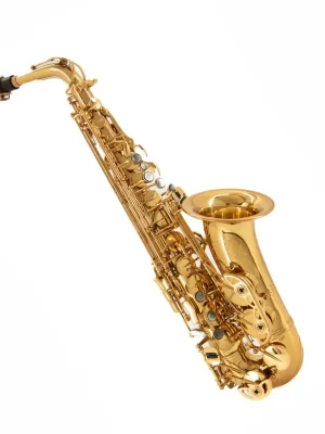 Jetzt neu | Altsaxophon Global lackiert