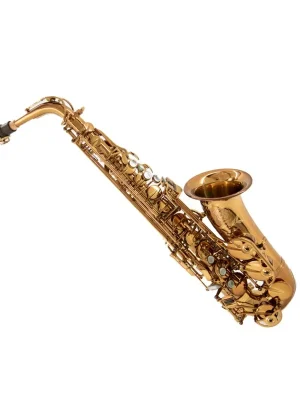Sonderangebot - Altsax Universal Amber