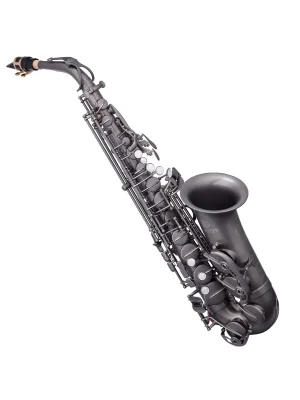 Preiswert | Eb Altsaxophon JAS1100TSQ