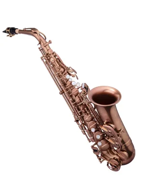 Eb Altsaxophon JAS1100BAQ - Sicher bezahlen