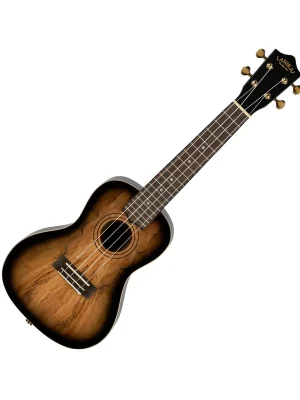 Spalted Maple Konzertukulele - Schnell zugreifen