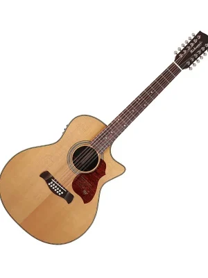 Versandbereit | G6512CEVA 12-Saiter W-Gitarre