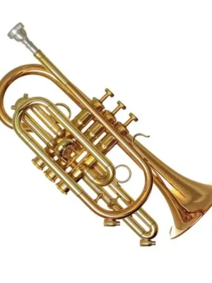 Deal - Pioneer B-Kornett lackiert