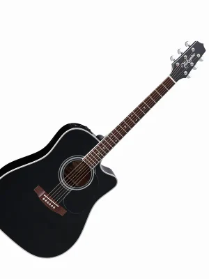 EF341SC Legacy Dreadnought | Werkspreis