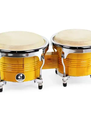 CB78NHG Bongo Natural HG | Top-Angebot