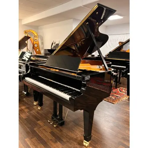 Neu hinzugefügt | W.Hoffmann V-175 Flügel schwarz poliert Showroom Instrument