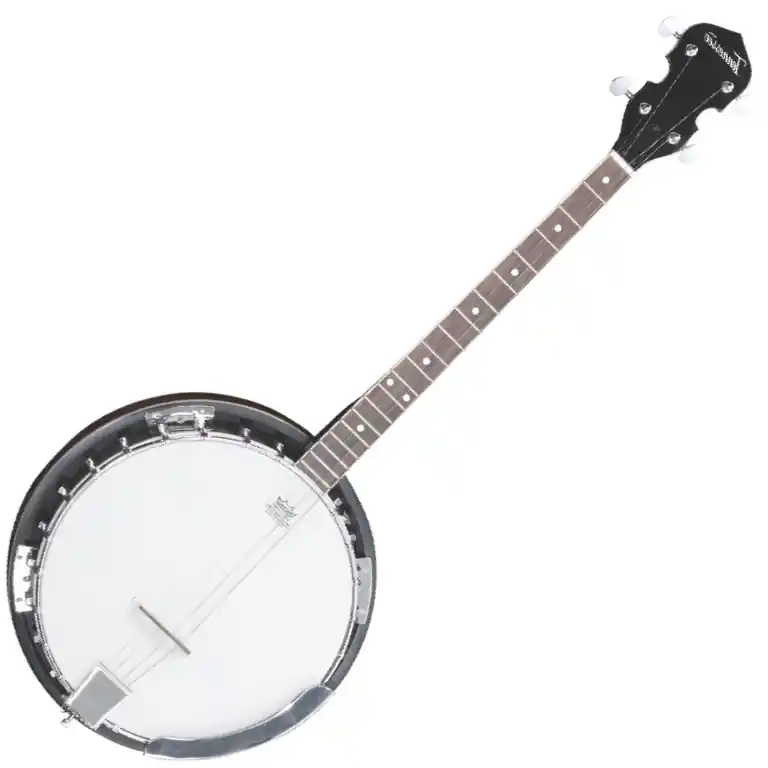 VGS Tenor-Banjo Select 4-Saiter | Expresslieferung
